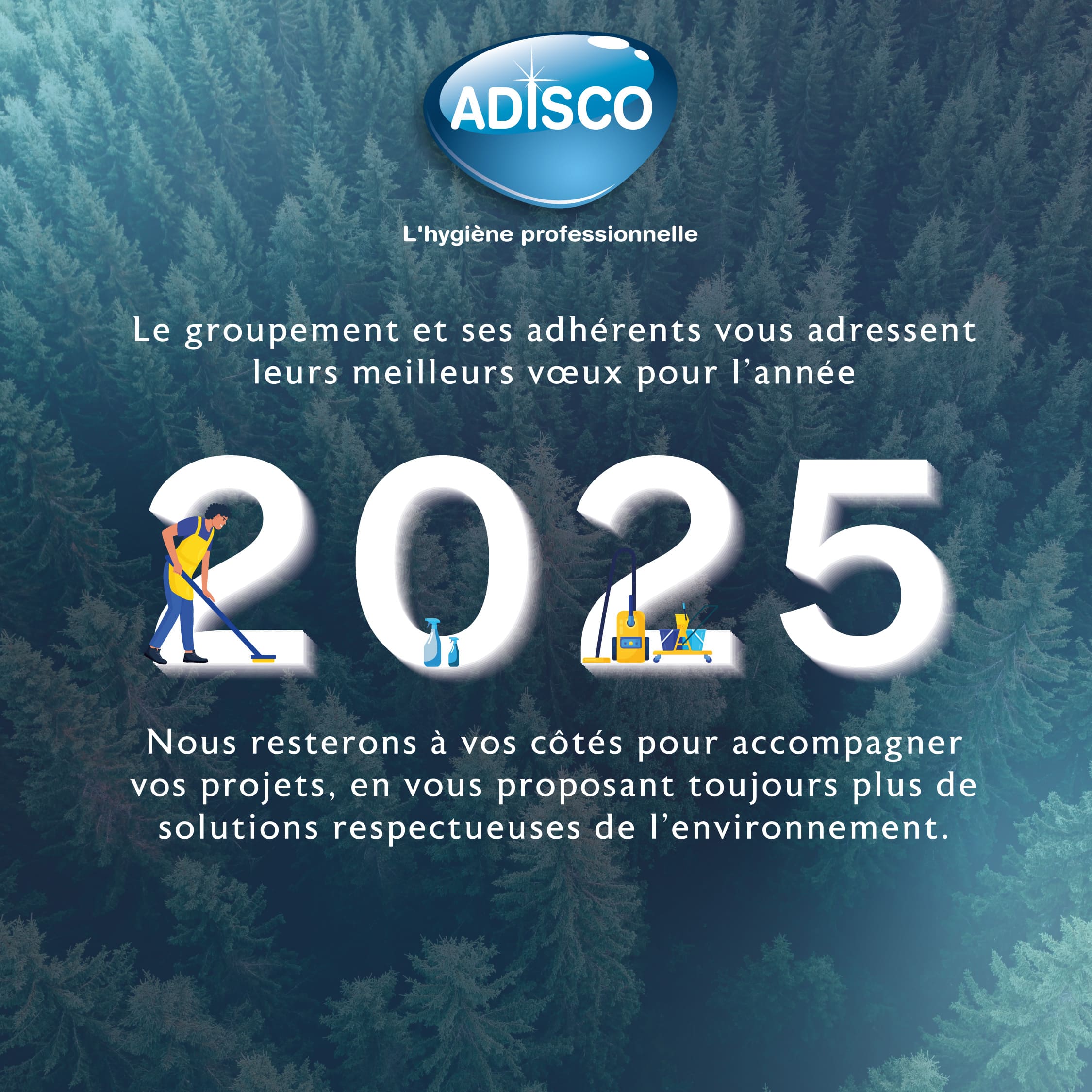 ✨🎉 Bonne année 2025 de la part de l'équipe ADISCO ! 🎉✨  