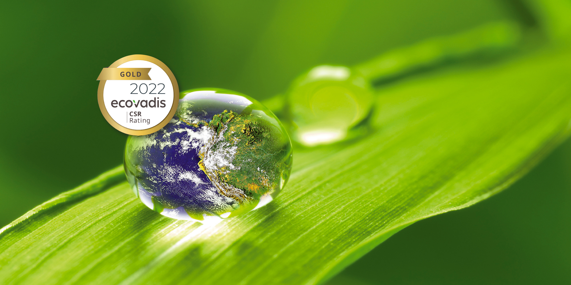 ADISCO receives the Ecovadis gold medal for the third consecutive year.