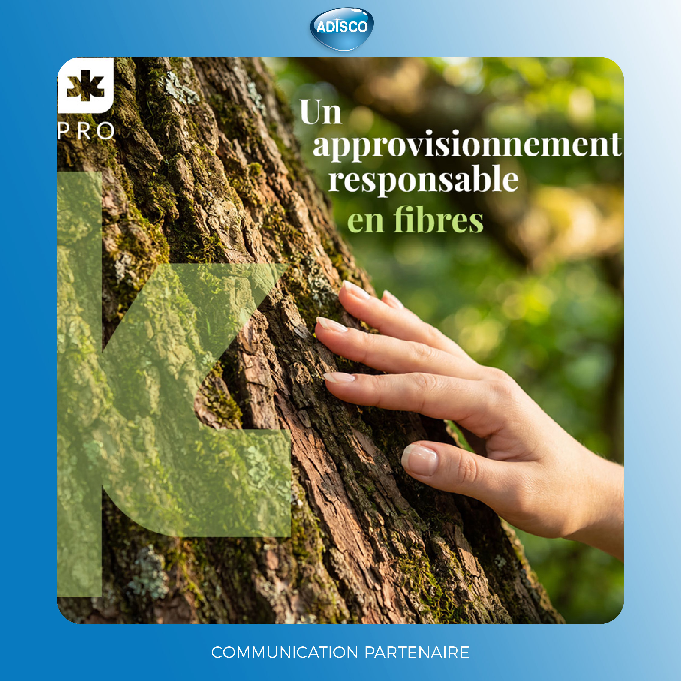 🌱 Kimberly-Clark Professional™ : Un approvisionnement responsable en fibres, un engagement qui compte