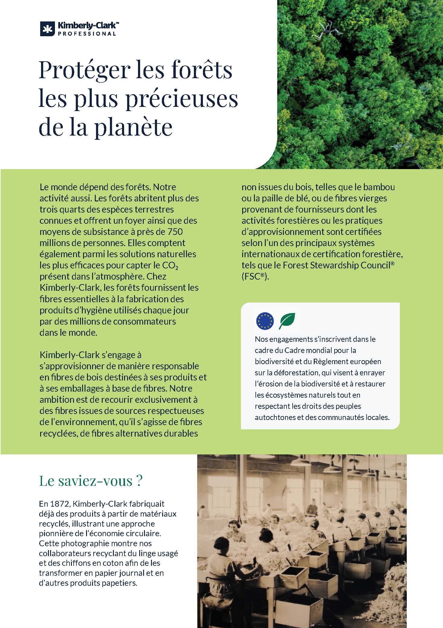 Des solutions d’hygiène plus responsables pour vos environnements professionnels